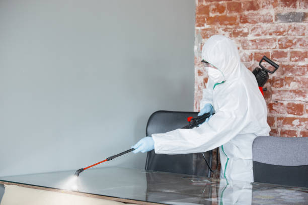 Best Mold Remediation for Healthcare Facilities in Healdsburg, CA