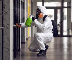 Best Comprehensive Air Testing for Mold Contaminants in Healdsburg, CA