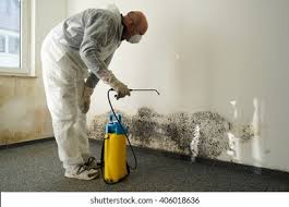 Why You Should Choose Our Mold Remediation Services in Healdsburg, CA